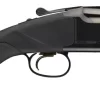 CITORI COMPOSITE - Image 3