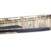 MAXUS II - Image 4