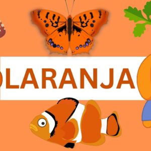 Laranja. Aprendendo e conhecendo os elementos que têm a cor laranja