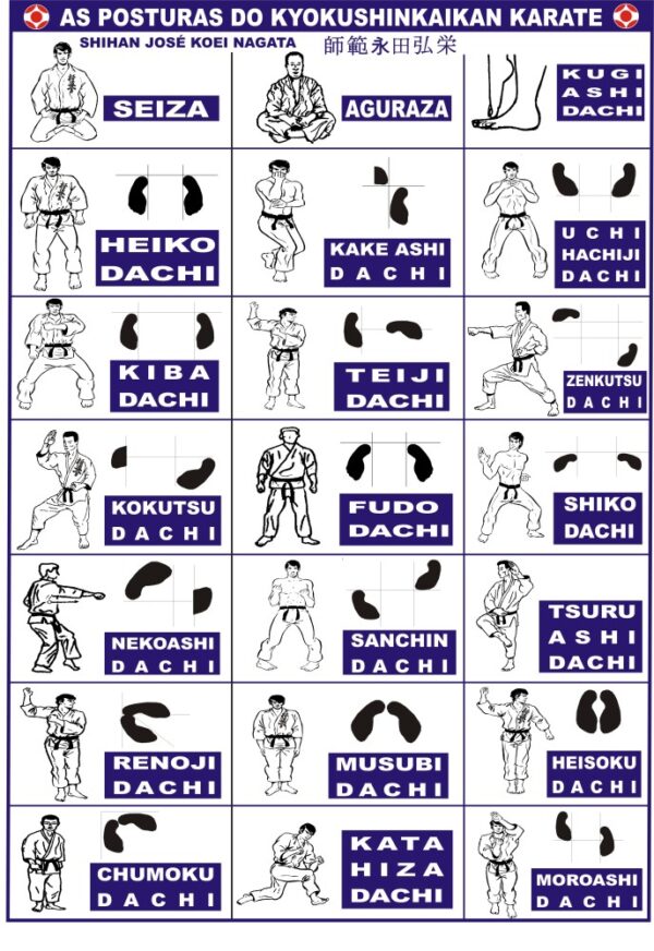 TÉCNICAS DO KARATE KYOKUSHINKAIKAN